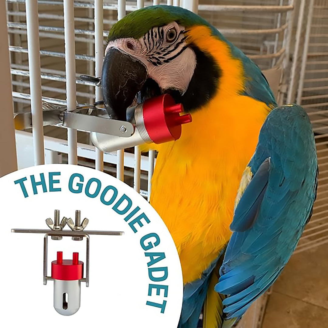 Busy Bird Goodie Gadget Foraging Bird Toy - Treat Dispenser