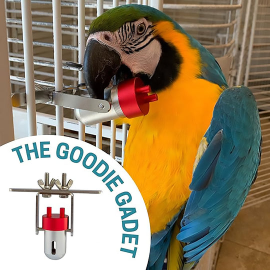 Busy Bird Goodie Gadget Foraging Bird Toy - Treat Dispenser
