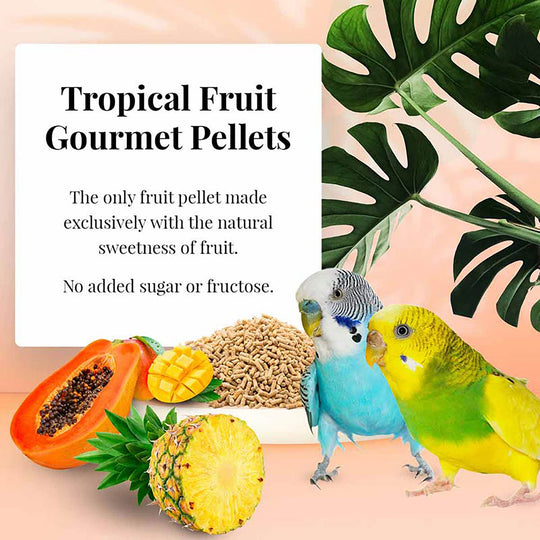 Lafeber's Tropical Fruit Gourmet Pellets for Parakeets - 1.25lb
