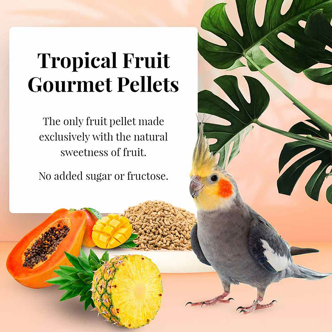 Lafeber's Tropical Fruit Gourmet Pellets for Cockatiels - 1.25lb