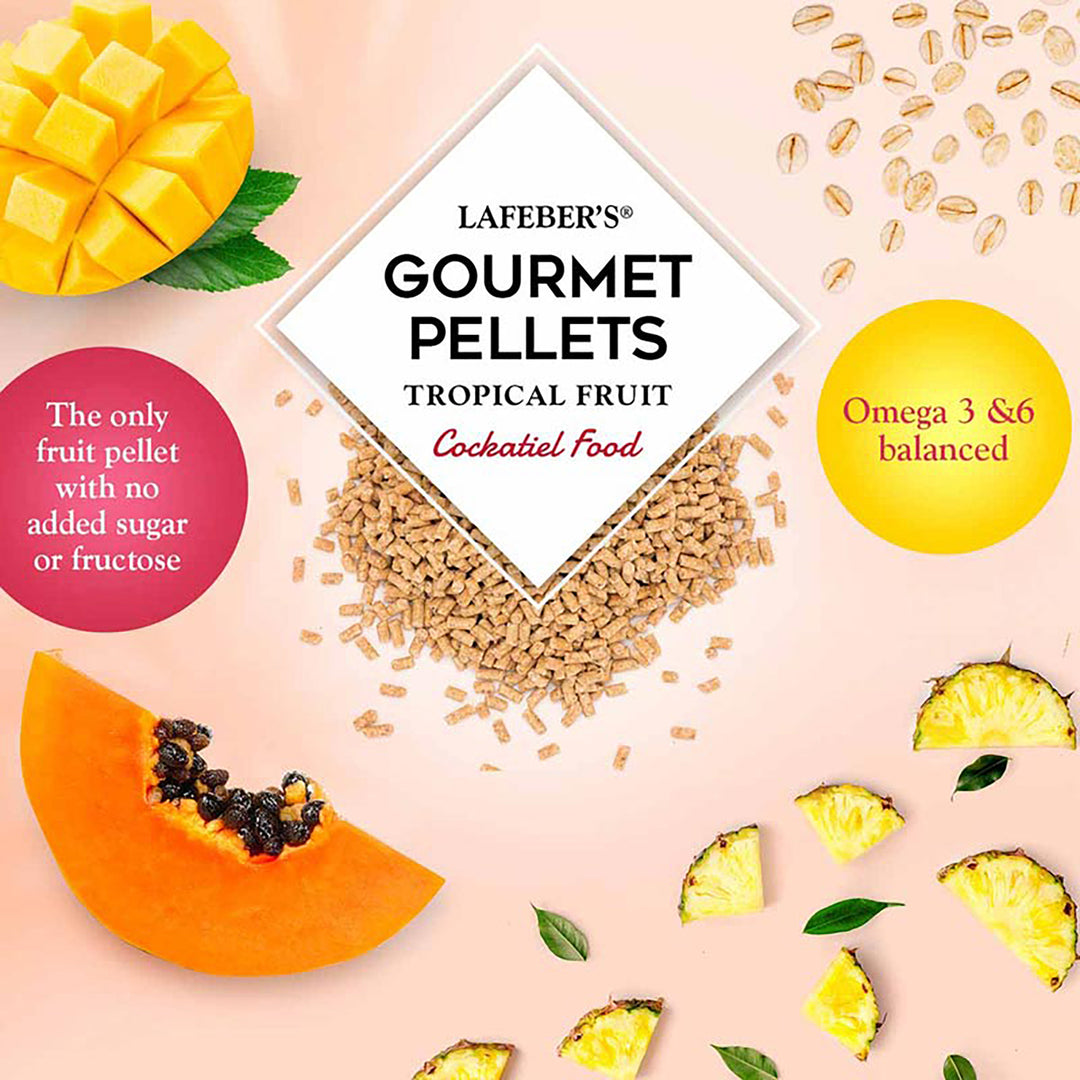 Lafeber's Tropical Fruit Gourmet Pellets for Cockatiels - 1.25lb
