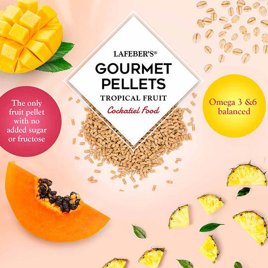 Lafeber's Tropical Fruit Gourmet Pellets for Cockatiels - 1.25lb