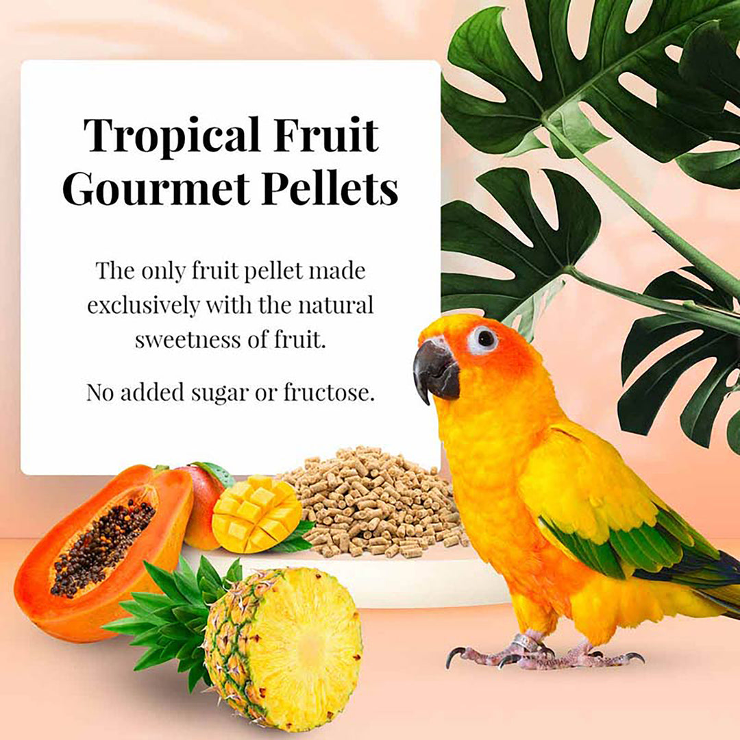 Lafeber's Tropical Fruit Gourmet Pellets for Conures - 1.25lb