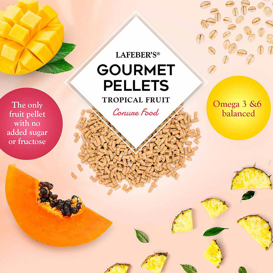 Lafeber's Tropical Fruit Gourmet Pellets for Conures - 1.25lb