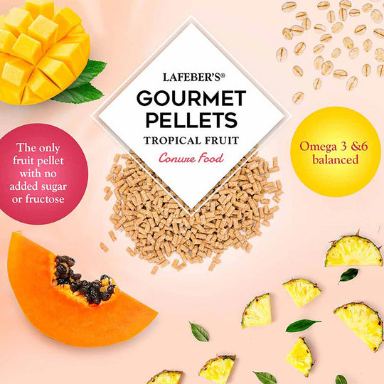Lafeber's Tropical Fruit Gourmet Pellets for Conures - 1.25lb