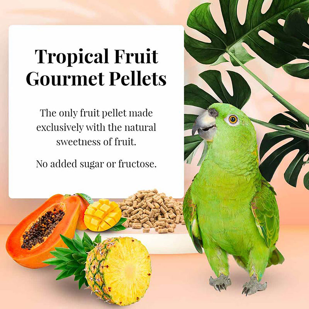 Lafeber's Tropical Fruit Gourmet Pellets for Parrots - 1.25lb