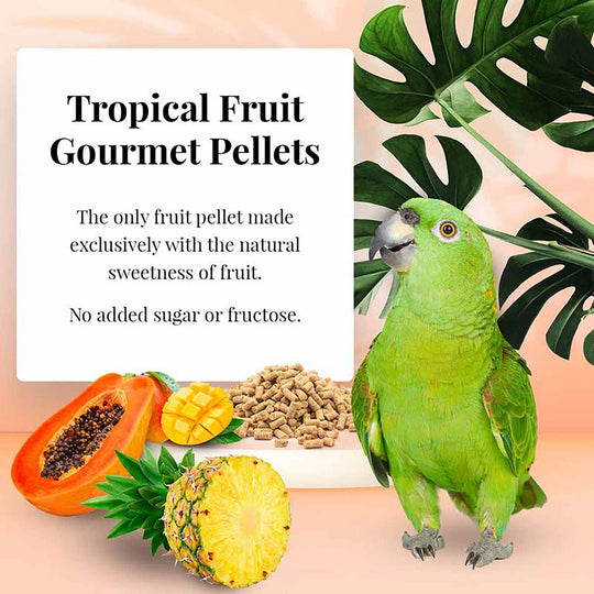 Lafeber's Tropical Fruit Gourmet Pellets for Parrots - 1.25lb