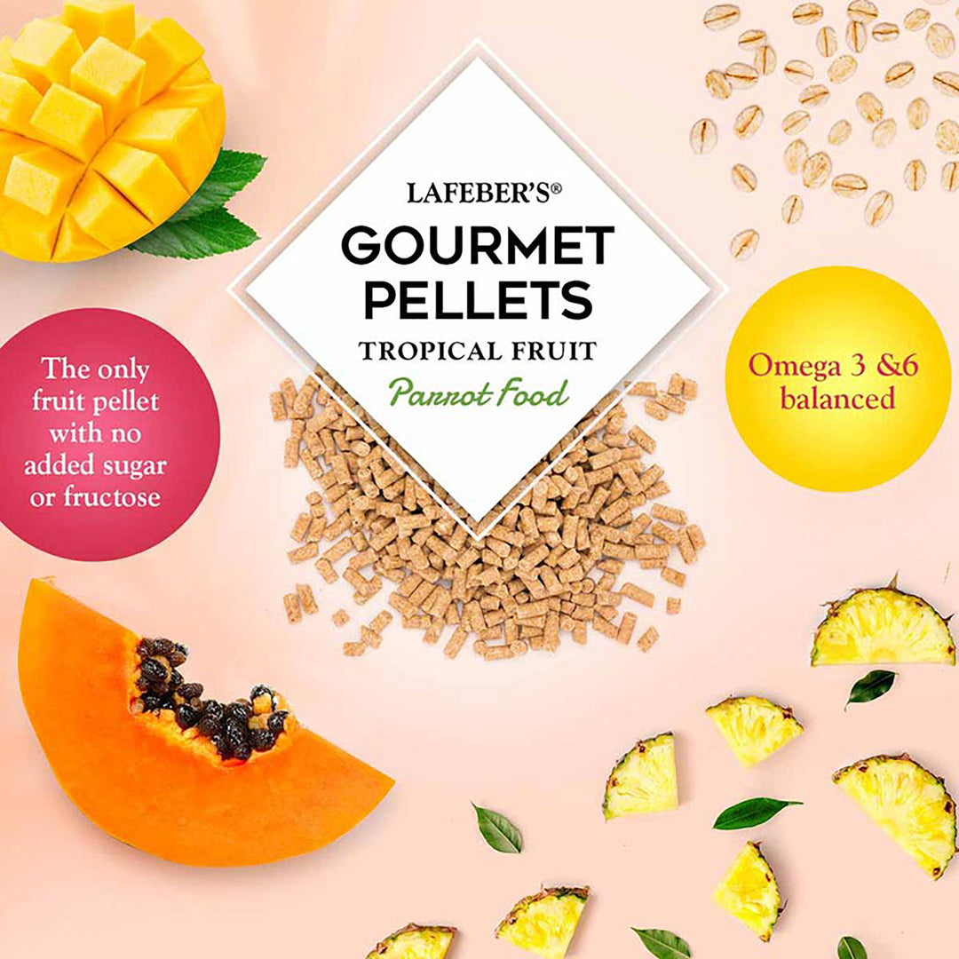 Lafeber's Tropical Fruit Gourmet Pellets for Parrots - 1.25lb