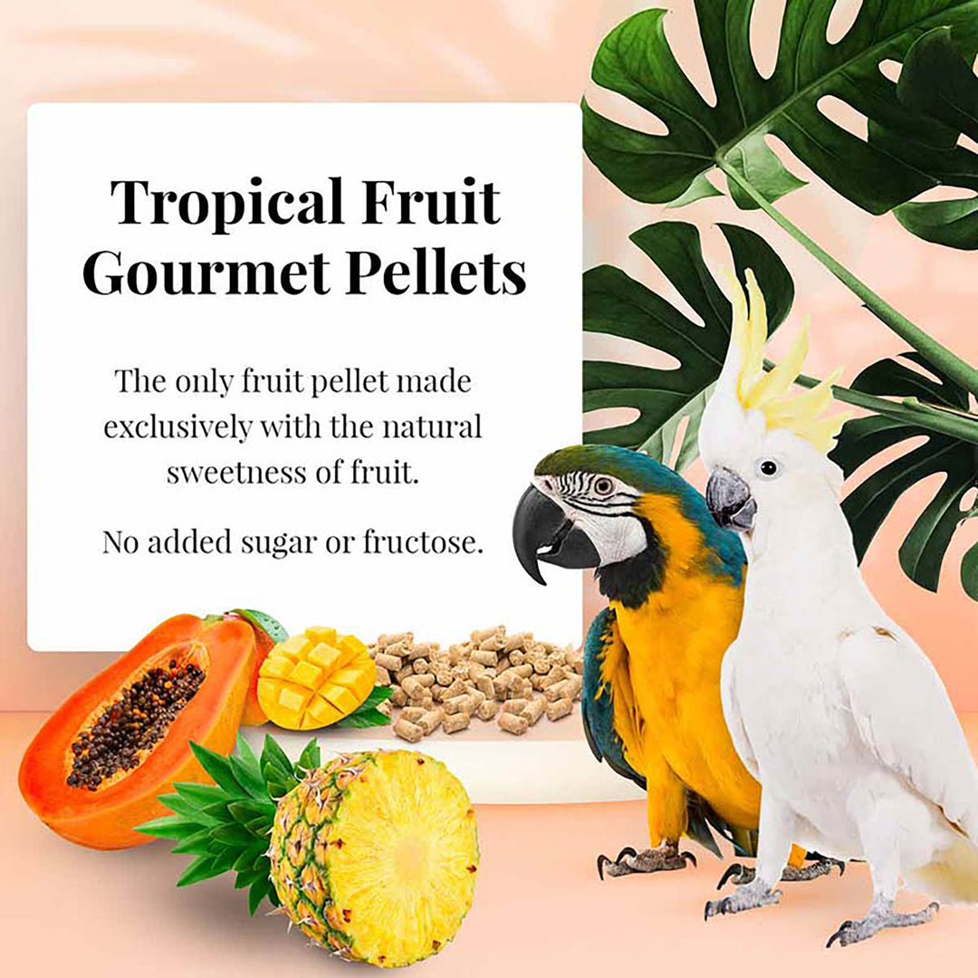 Lafeber's Tropical Fruit Gourmet Pellets for Macaws & Cockatoos - 1.25lb