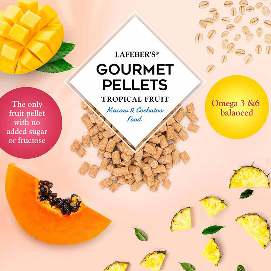 Lafeber's Tropical Fruit Gourmet Pellets for Macaws & Cockatoos - 1.25lb