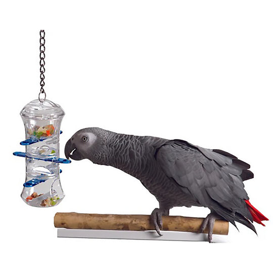 Caitec Creative Foraging Systems Push And Pull - Puzzle Treat Dispenser Bird Toy
