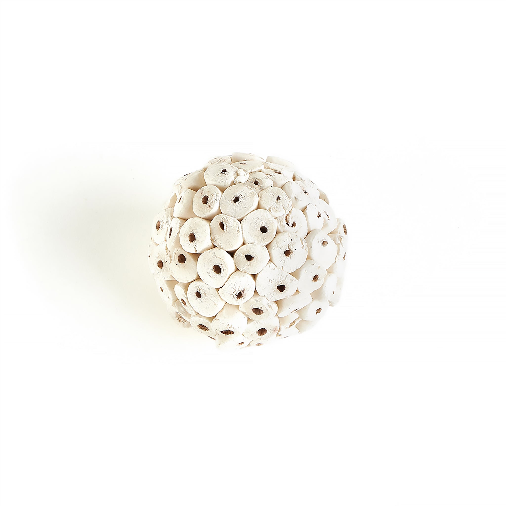 Sola plant root ball for parrot chewing.