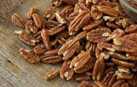 Aria Nature's Raw Unsalted Pecans (Shelled) - Parrot Treat & Training Reward - 8oz