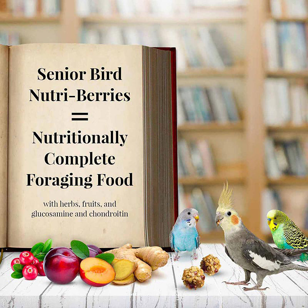 Lafeber's Senior Bird Nutri-Berries Parakeets & Cockatiels - 10oz