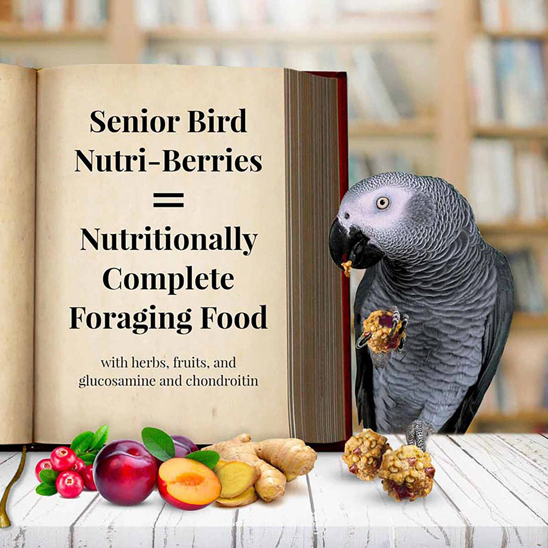 Lafeber's Senior Bird Nutri-Berries for Parrots - 10oz
