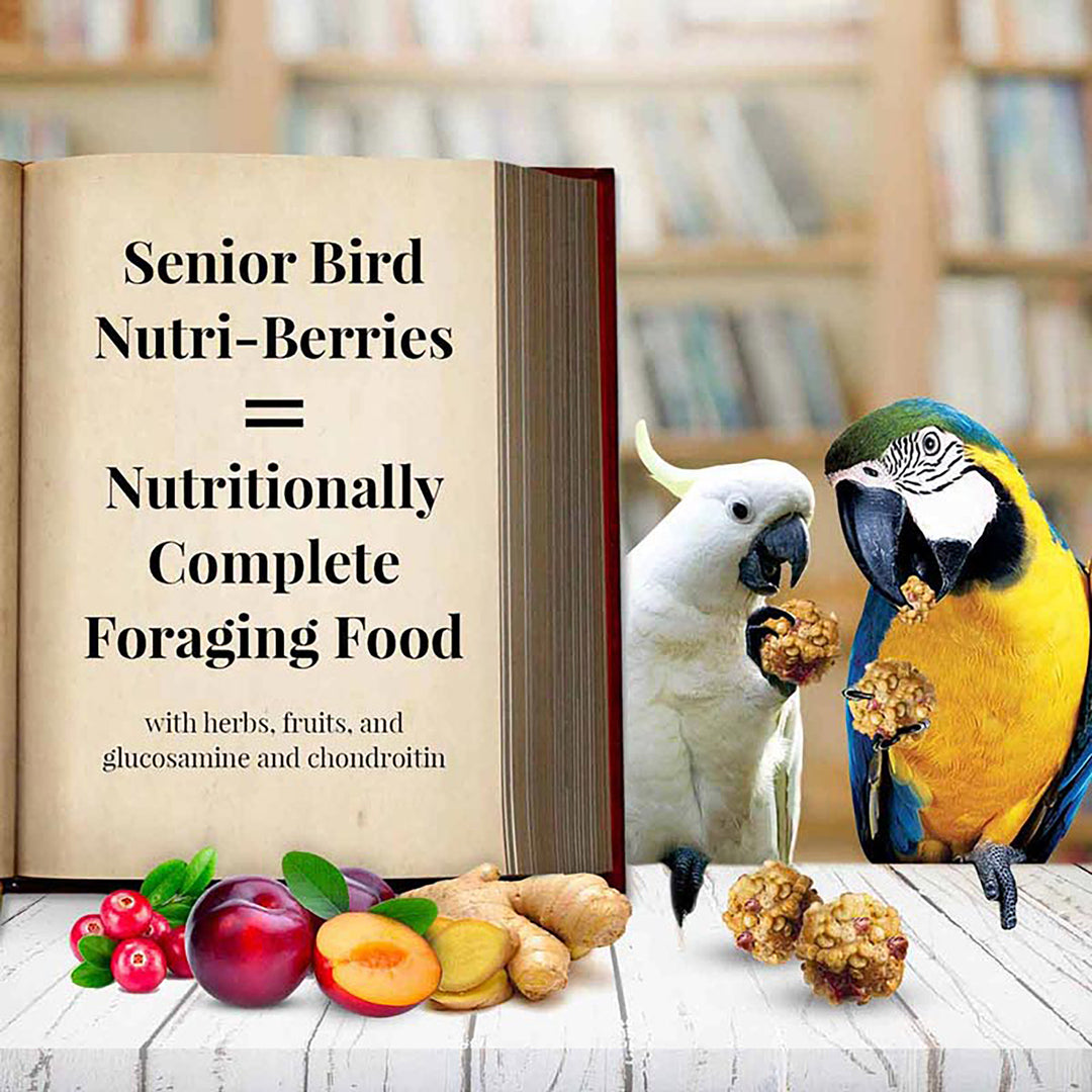 Lafeber's Senior Bird Nutri-Berries for Macaws & Cockatoos - 10oz