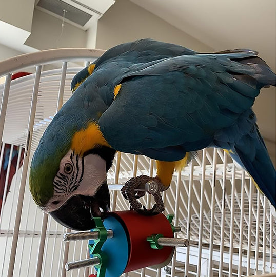 Busy Bird Busy Barrel Foraging Bird Toy - Interactive Treat Dispenser