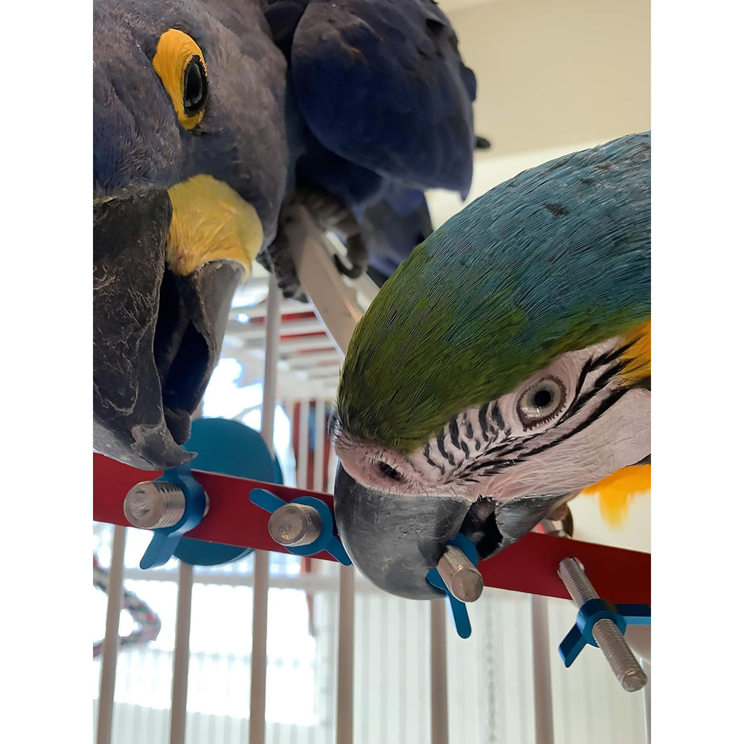 Busy Bird Busy Strip Foraging Bird Toy - Durable Puzzle Enrichment Toy