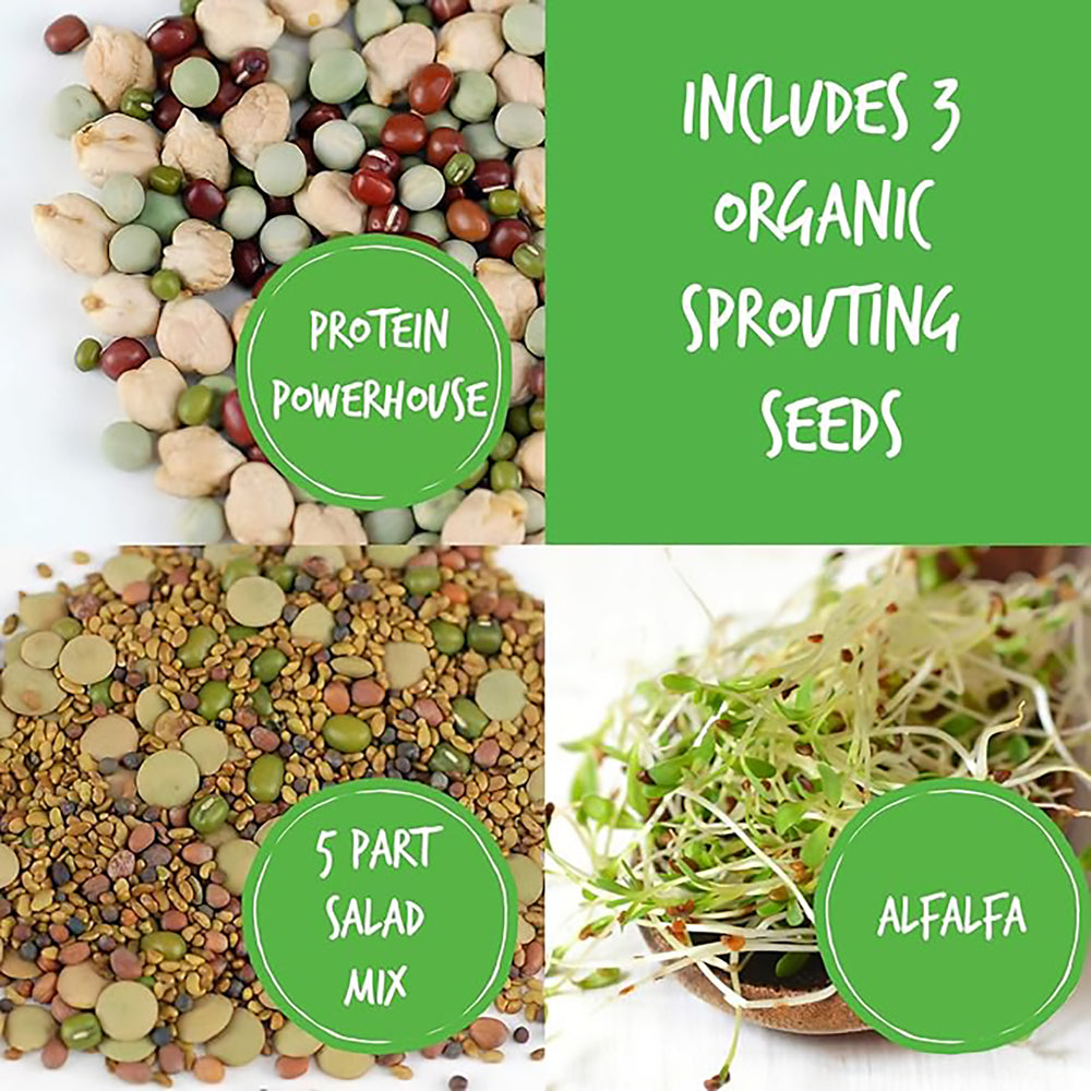 Handy Pantry Sprout Garden 3 Tray Stackable Seed Sprouter