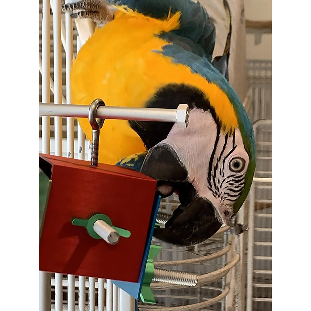 Busy Bird Busy Box Foraging Bird Toy - Interactive Treat Dispenser