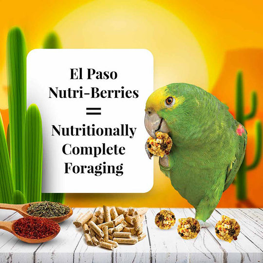 Lafeber's El Paso Nutri-Berries for Parrots - 10oz