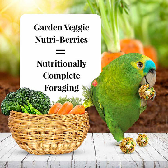 Lafeber's Garden Veggie Nutri-Berries for Parrots - 10oz