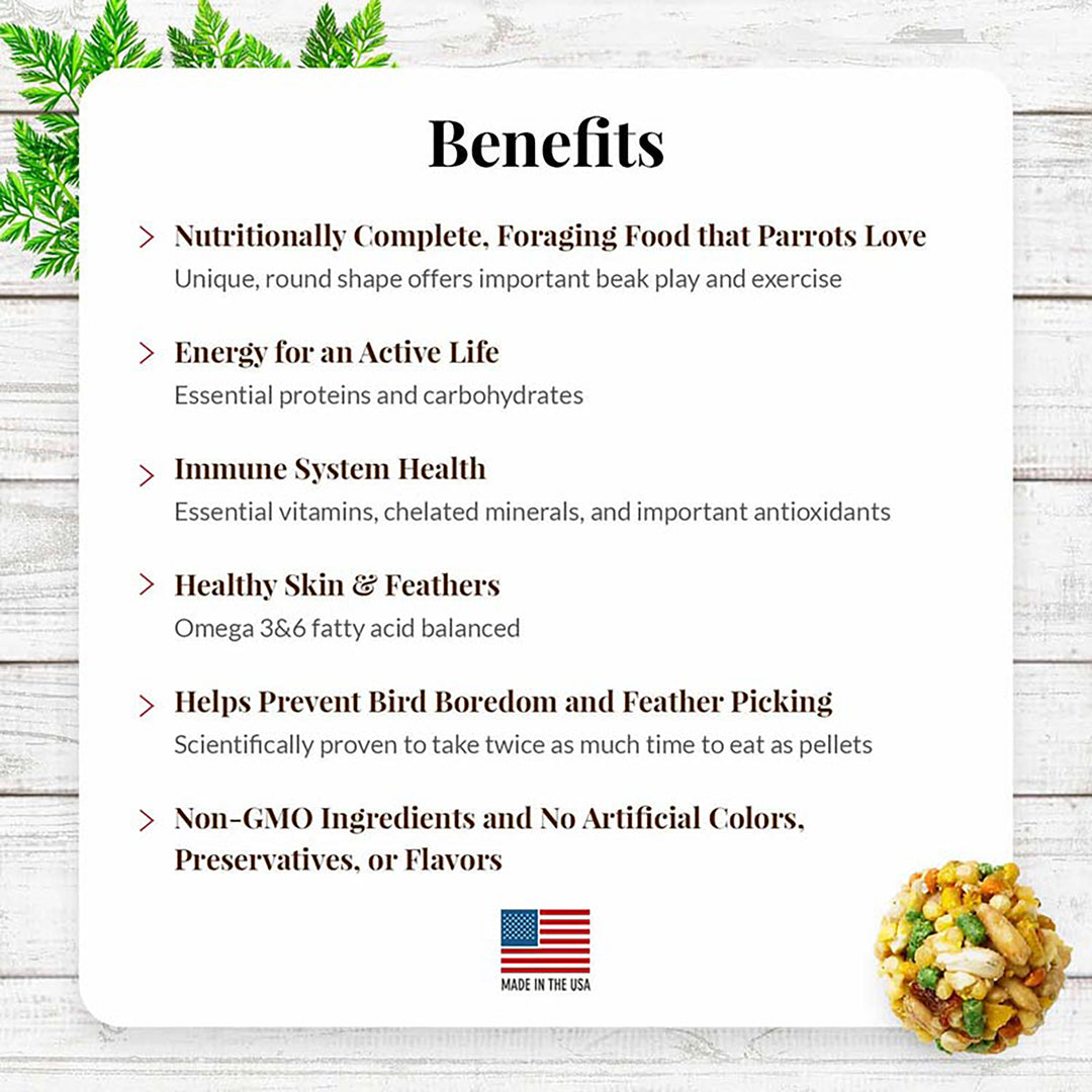 Lafeber's Garden Veggie Nutri-Berries for Parrots - 10oz