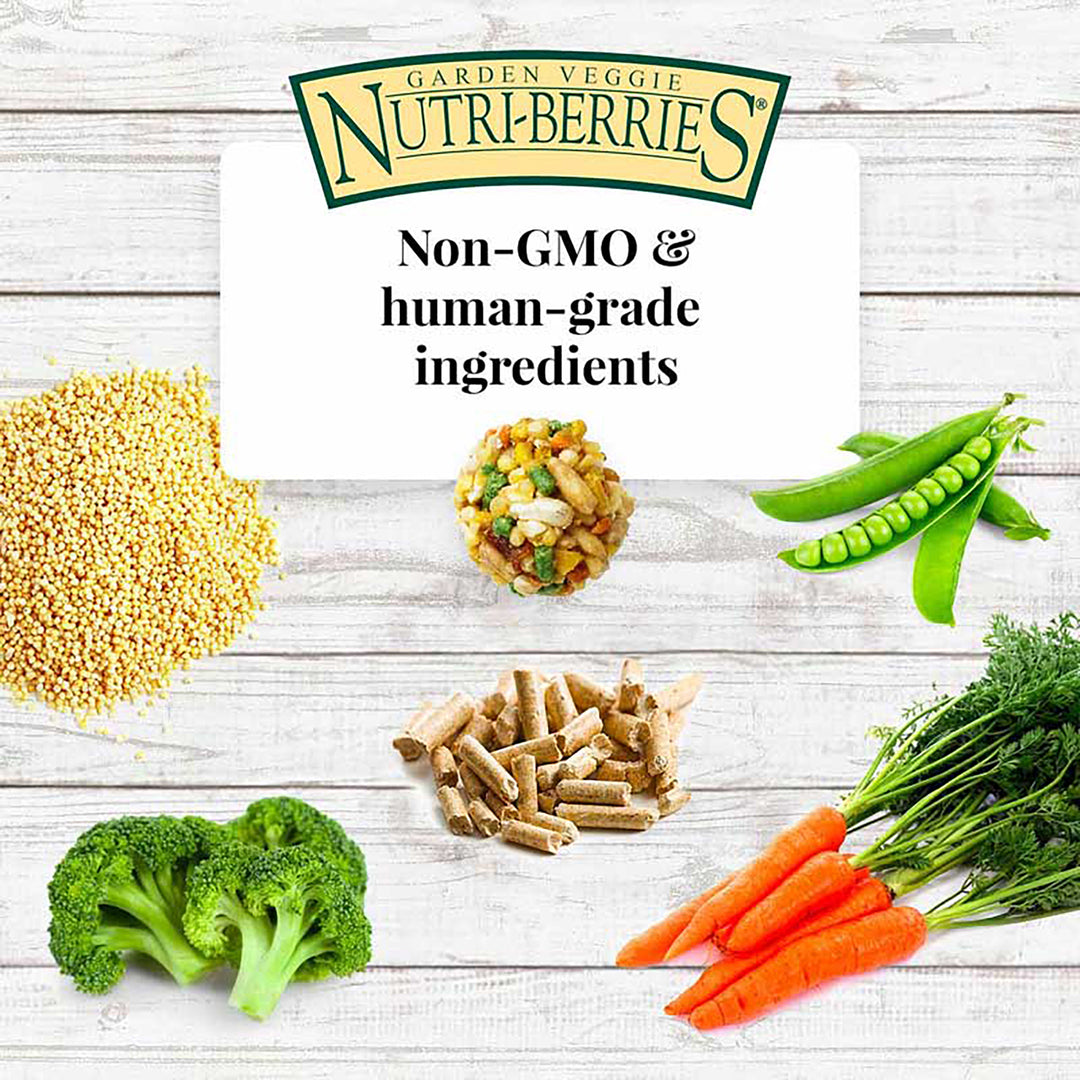 Lafeber's Garden Veggie Nutri-Berries for Parrots - 10oz