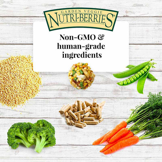 Lafeber's Garden Veggie Nutri-Berries for Parrots - 10oz