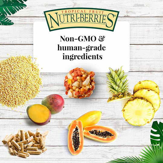Lafeber's Tropical Fruit Nutri-Berries for Conures - 10oz