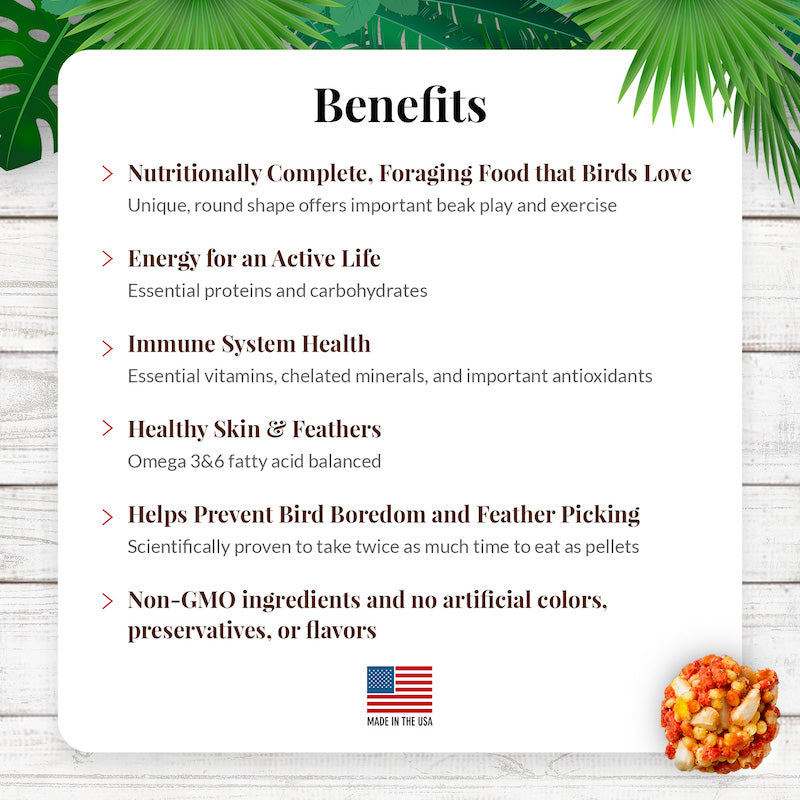 Lafeber's Tropical Fruit Nutri-Berries for Macaws & Cockatoos - 10oz