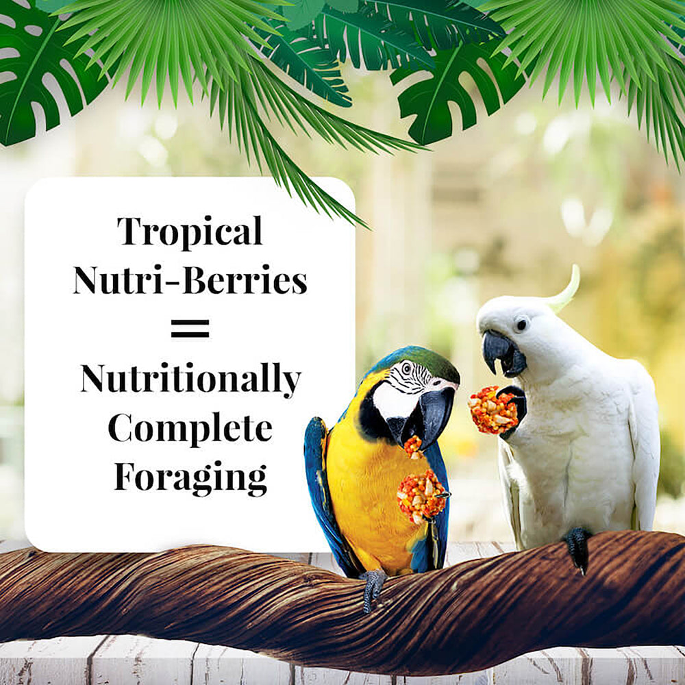 Lafeber's Tropical Fruit Nutri-Berries for Macaws & Cockatoos - 3lb