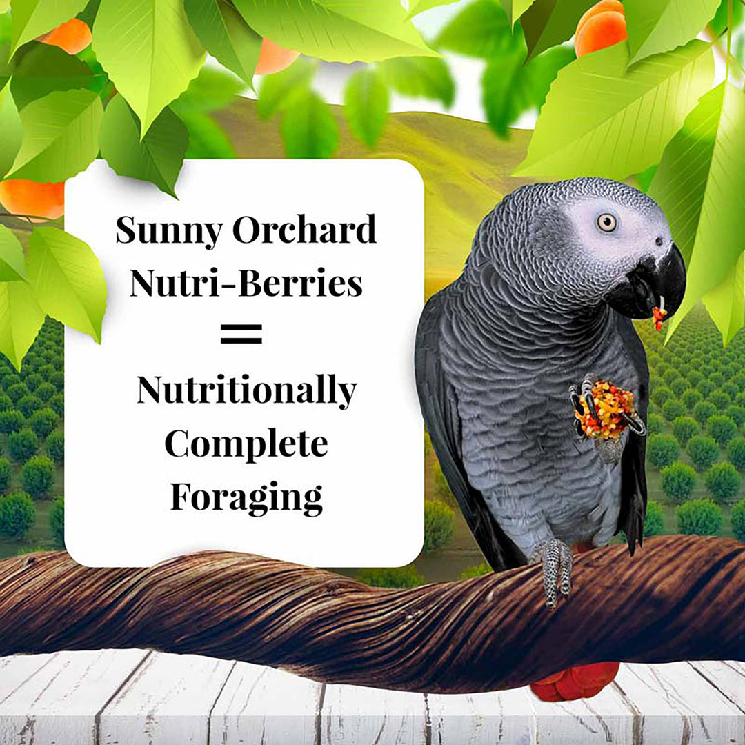 Lafeber's Sunny Orchard Nutri-Berries for Parrots - 10oz