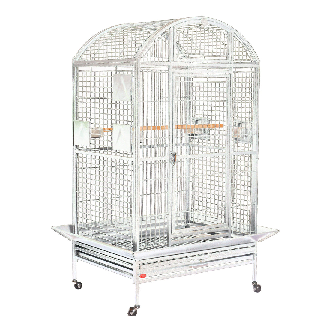 A&E Cage Company Dome Top HQ Bird Cage Platinum - 36” x 28” - Bird Enclosure #9003628 HQ Platinum