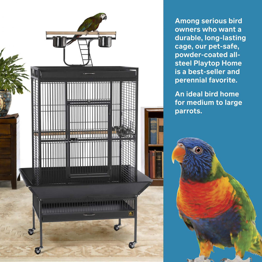 Prevue Pet Products Playtop Bird Home Black - 30” x 22” - Parrot Enclosure #3153BLK