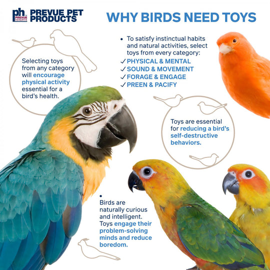 Prevue Pet Products Naturals Munch 'N' Crunch - Chew Bird Toy #62822