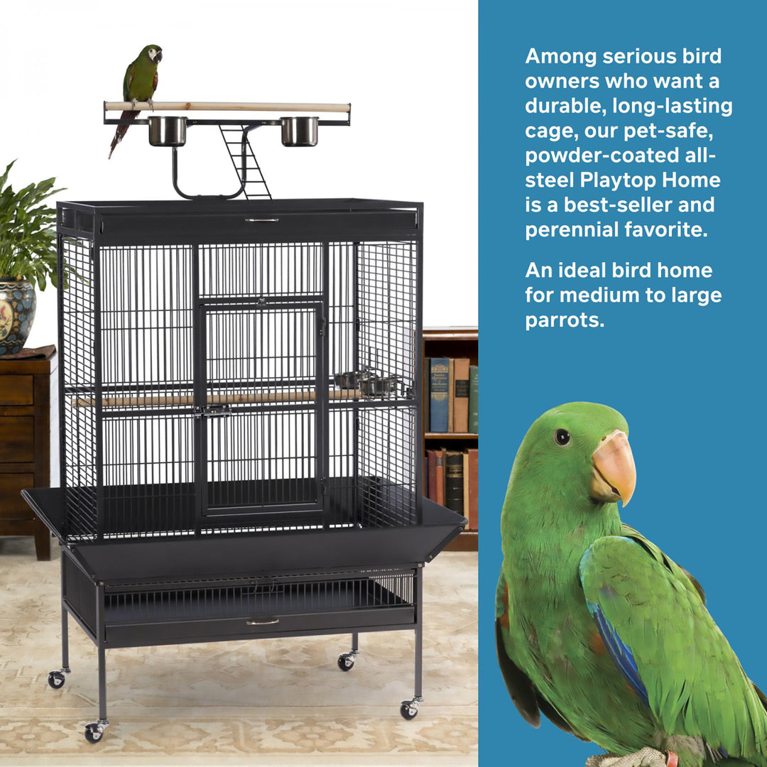 Prevue Pet Products Playtop Bird Home Black - 36” x 24” - Parrot Enclosure #3154BLK
