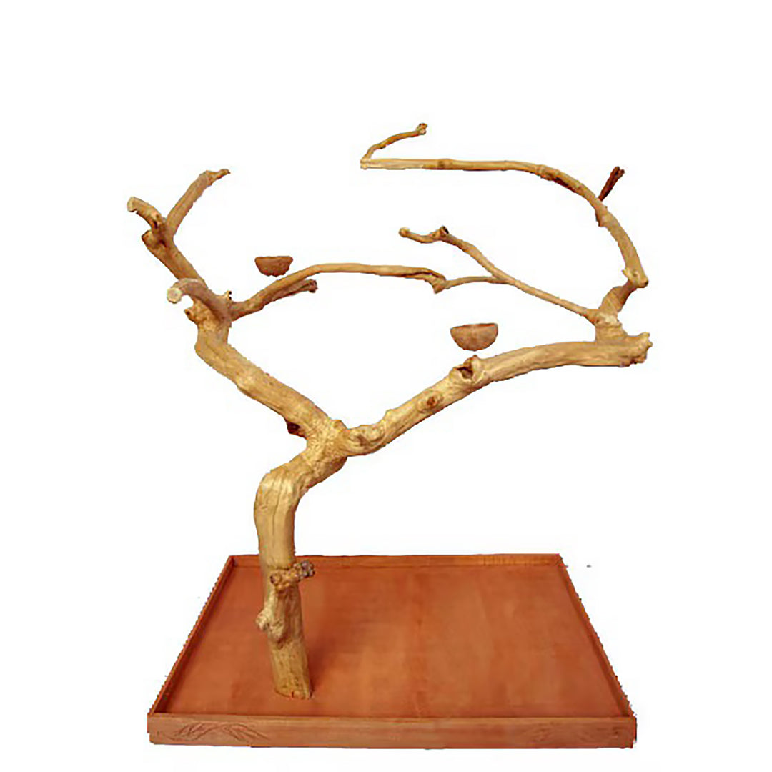 A&E Cage Company Large Java Wood Tree 48"x 22"x 66" - Natural Branch Coffeawood Tree Stand #AE200L