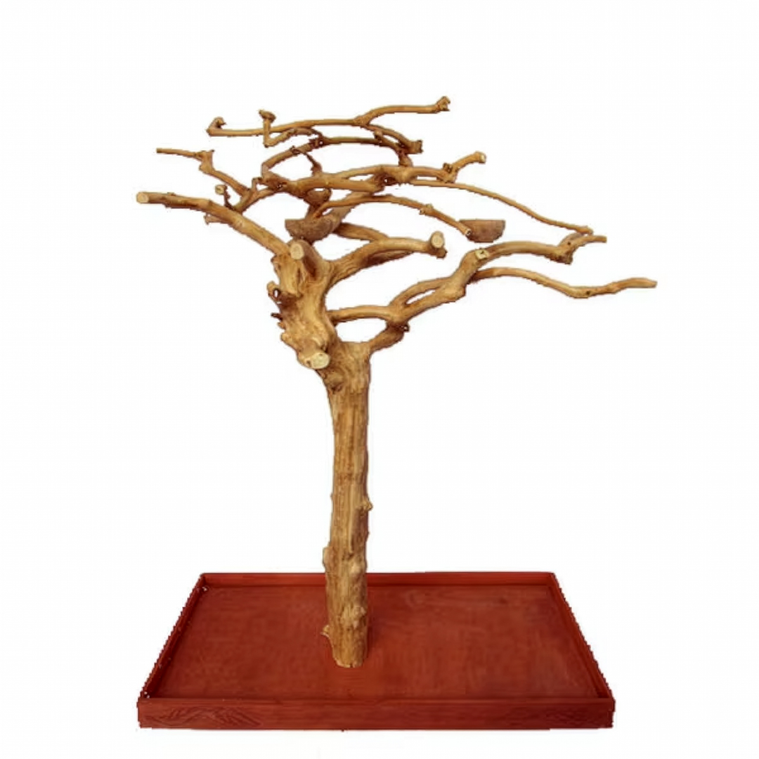 A&E Cage Company Small Java Wood Tree 48" x 24" x 66" - Natural Branch Coffeawood Bird Tree Stand #AE200S