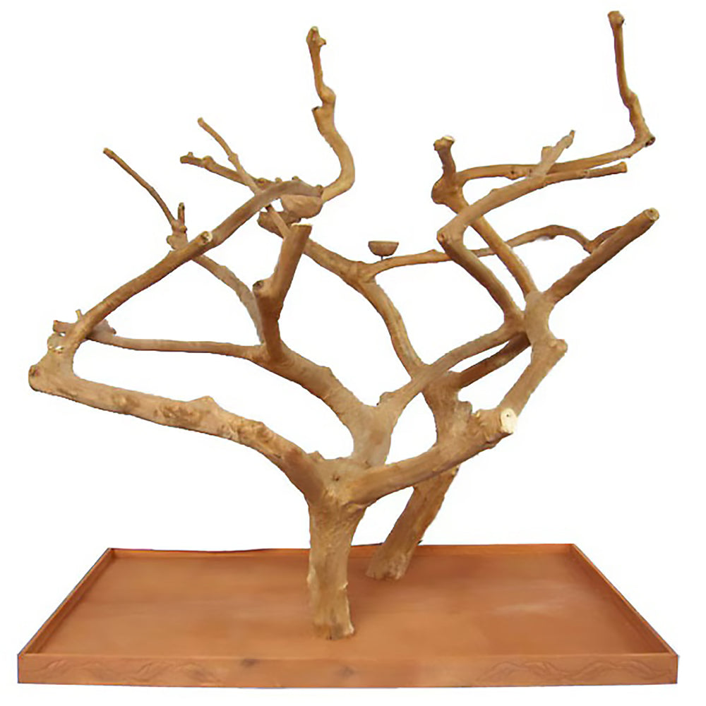 A&E Cage Company Large Double Java Wood Tree 73"x 36"x 66" - Natural Branch Coffeawood Tree Stand