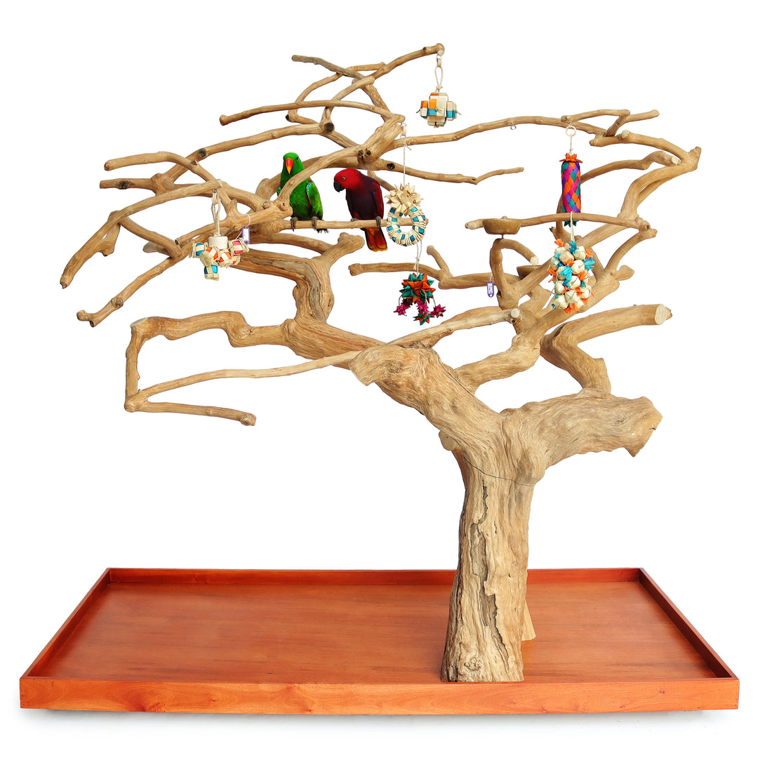 A&E Cage Company Large Double Java Wood Tree 73"x 36"x 66" - Natural Branch Coffeawood Tree Stand