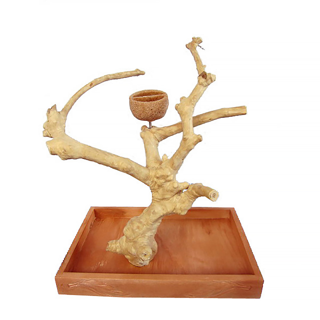 A&E Cage Company Small Java Wood Table Top Play Stand 15" x 10” x 15” - Natural Tree Branch Coffeawood Bird Stand #AE500S