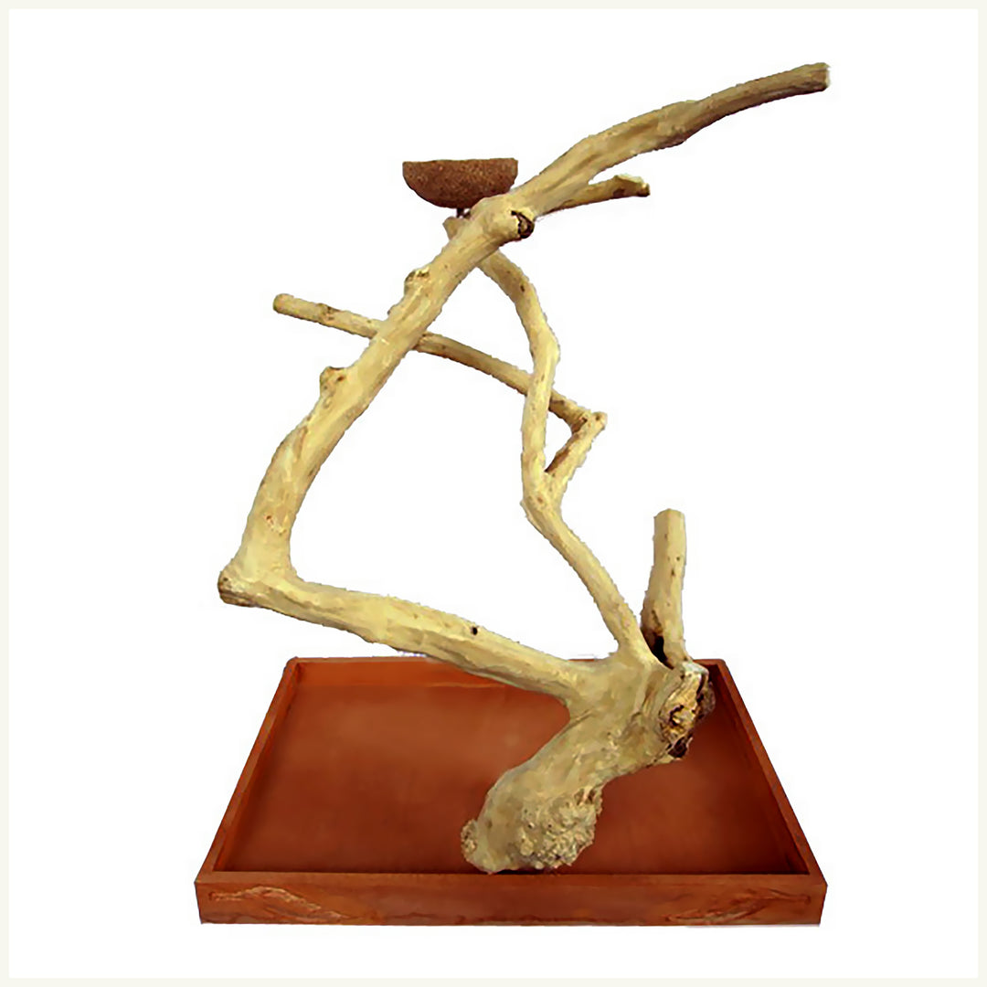 A&E Cage Company Medium Java Wood Table Top Play Stand 22" x 14” x 22” - Natural Tree Branch Coffeawood Bird Stand #AE500M