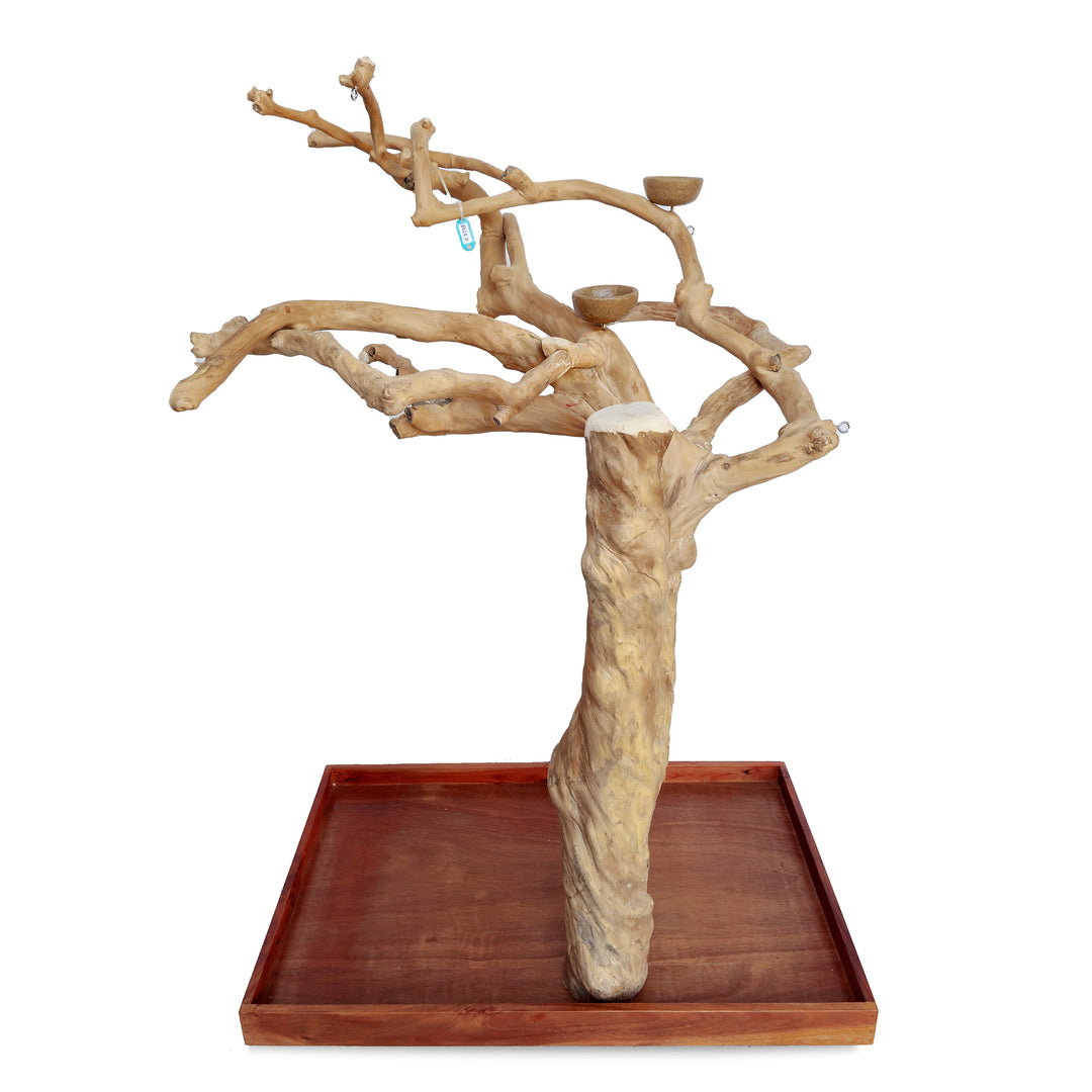 A&E Cage Company Medium Java Wood Tree 40" x 23” x 61” - Natural Tree Branch Coffeawood Parrot Stand #AE250M