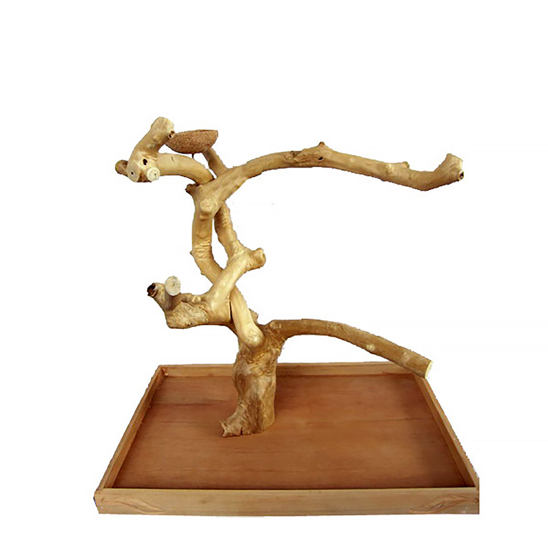 A&E Cage Company XLarge Java Wood Table Top Play Stand 28" x 18” x 27” - Natural Tree Branch Coffeawood Bird Stand #AE500XL