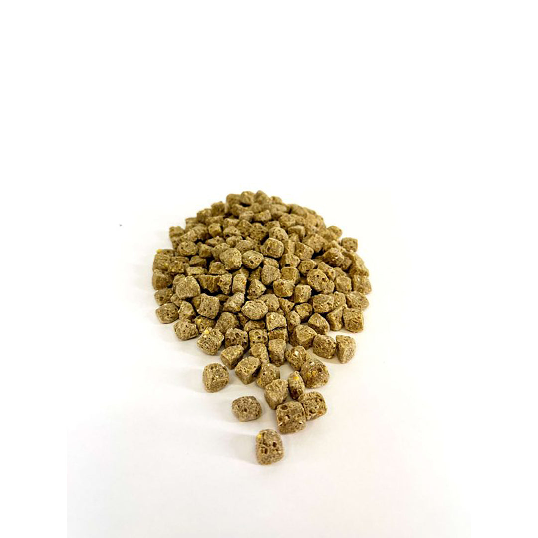 Harrison's Adult Lifetime Coarse - 1lb
