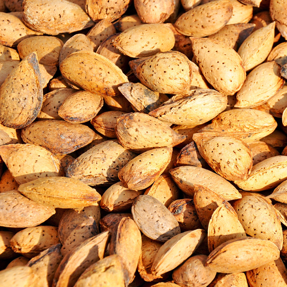 A close-up pile of whole almonds with textured, speckled tan and brown shells filling the frame.