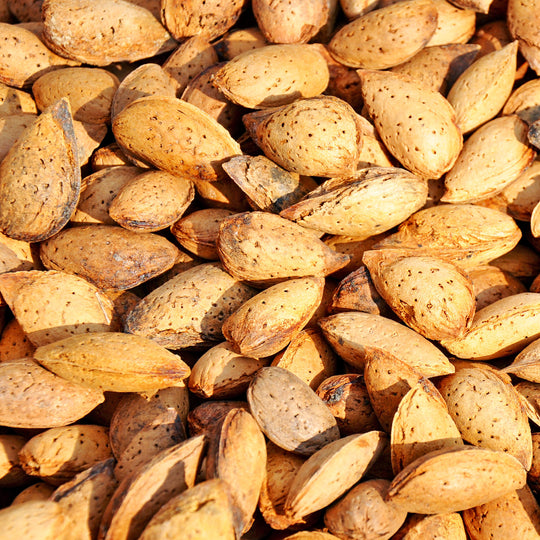 A close-up pile of whole almonds with textured, speckled tan and brown shells filling the frame.