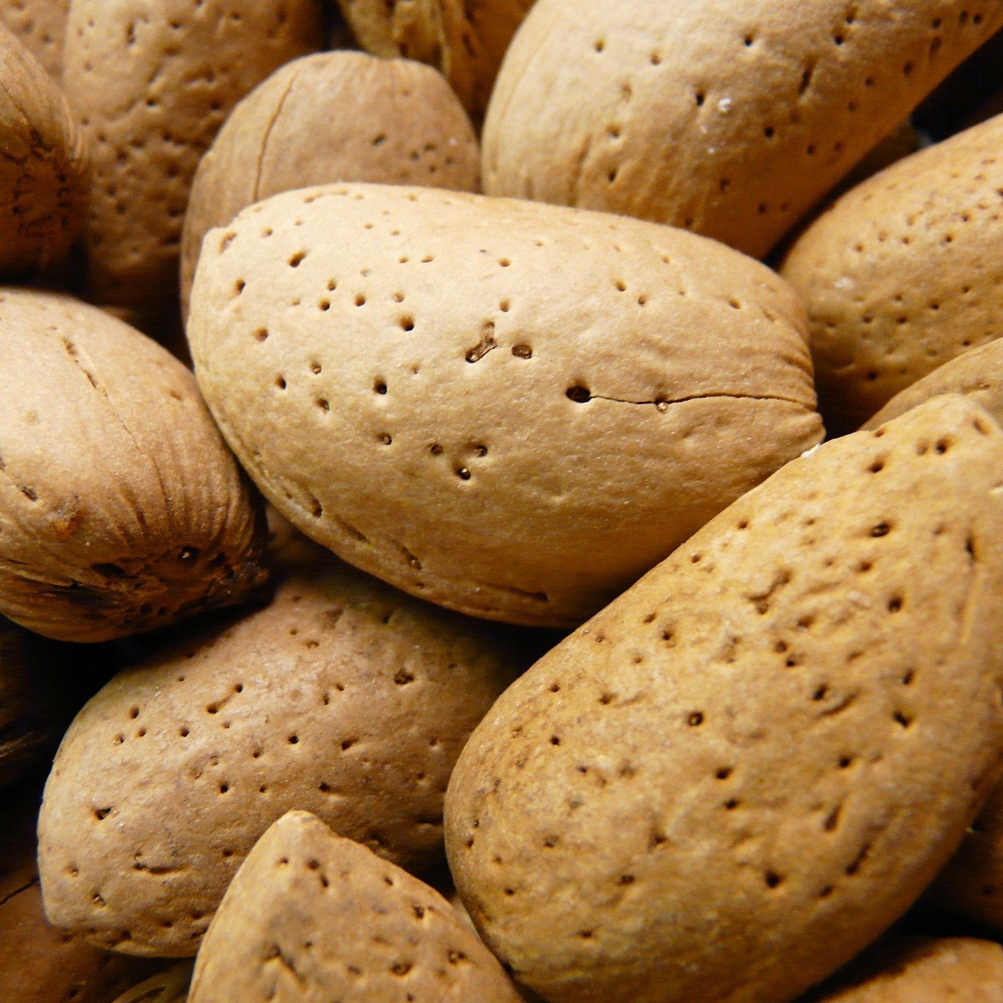A close-up pile of whole almonds with rough, textured brown shells filling the frame.