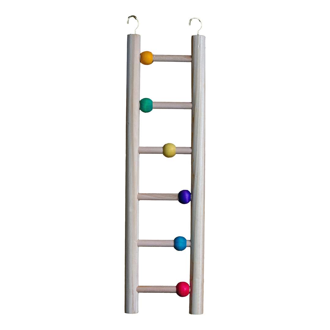 A wooden ladder toy for birds, featuring a natural light wood finish with colorful round beads in orange, green, yellow, purple, blue, and pink, and two metal hanging loops at the top, shown against a plain white background.